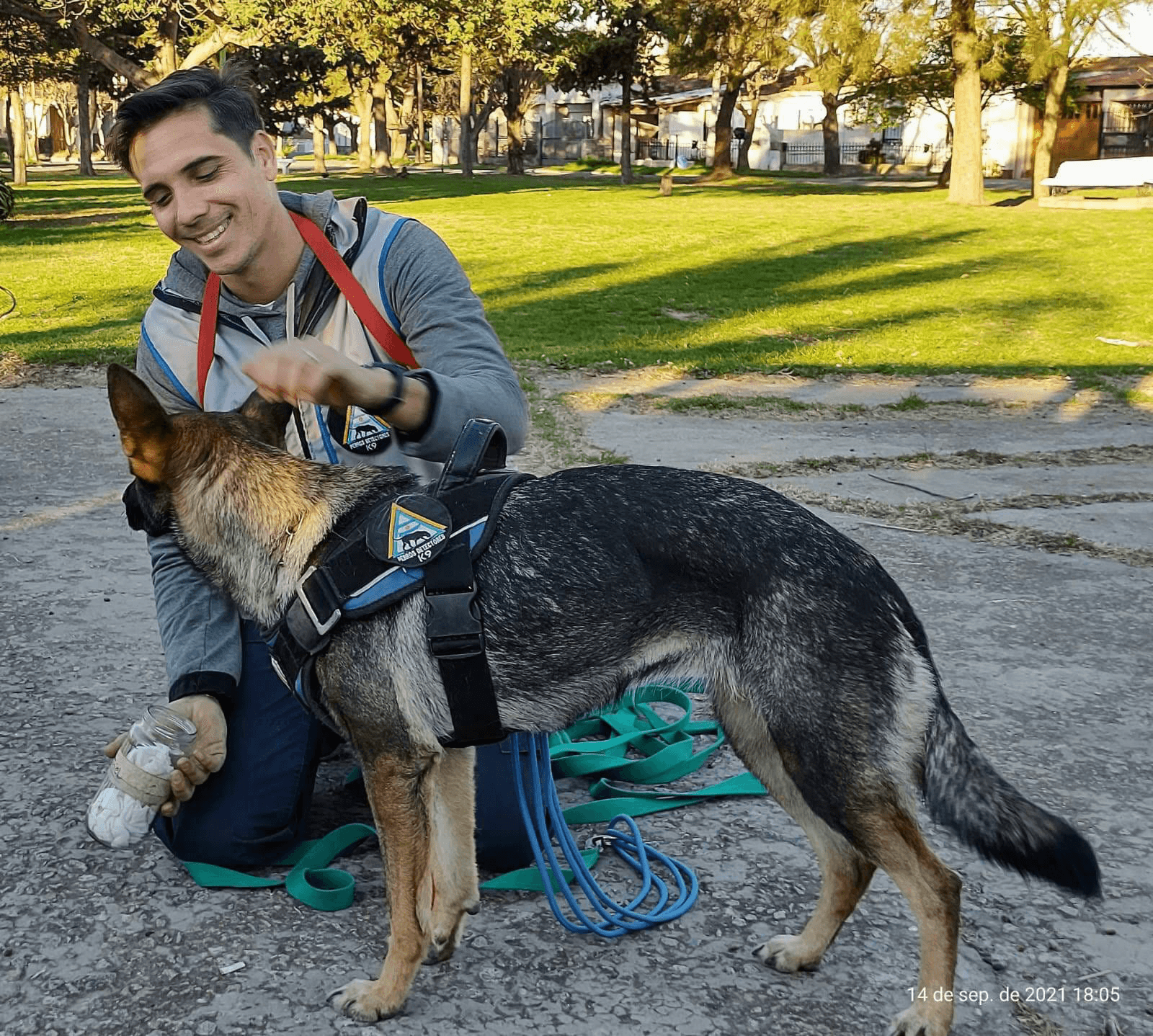 Entrenamiento profesional con perros