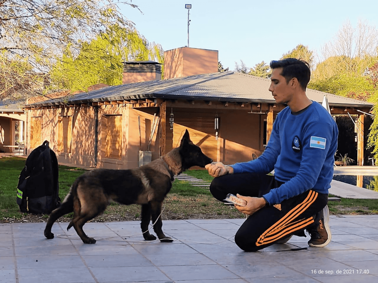 Resultados del entrenamiento
