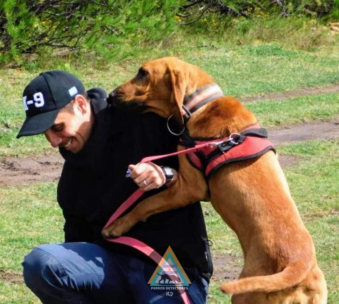 Técnicas de adiestramiento profesional